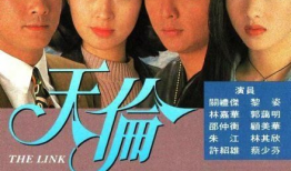 1993电视剧,岁月如歌，青春无悔