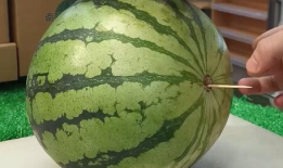 潍坊吃瓜爆料事件视频