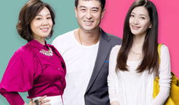 一仆二主电视剧,忠诚与抉择的职场风云