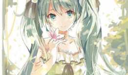 动漫照片,捕捉光影中的青春记忆