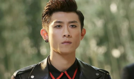 张一山电视剧,从童星到实力派，电视剧中的成长蜕变